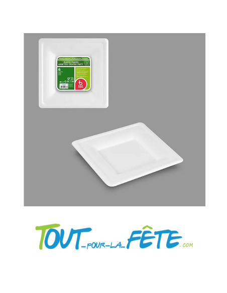 Lot de 6 petites assiettes carrés de 16cm biodégradable en canne a sucre