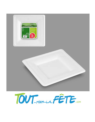 Lot de 3 assiettes plateaux de 26cm biodégradable en canne a sucre