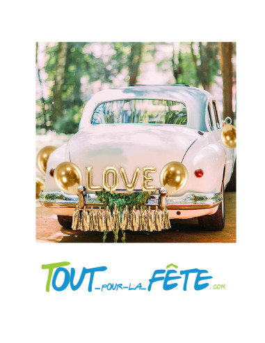 Kit Décoration de Voiture vive les mariés