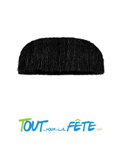 Moustache Charlie Chaplin adhésive noir