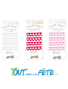 2 mini guirlandes cœurs 2m