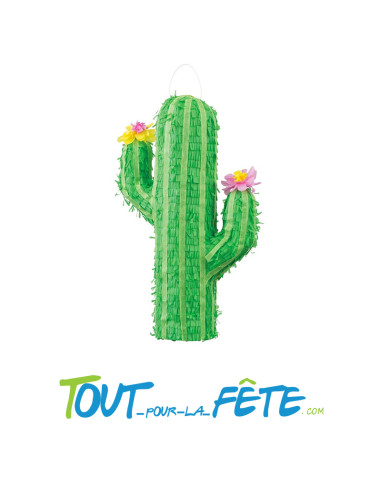 Pinata cactus 62 cm