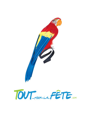 Perroquet multicolore avec élastique pour mettre a l'épaule