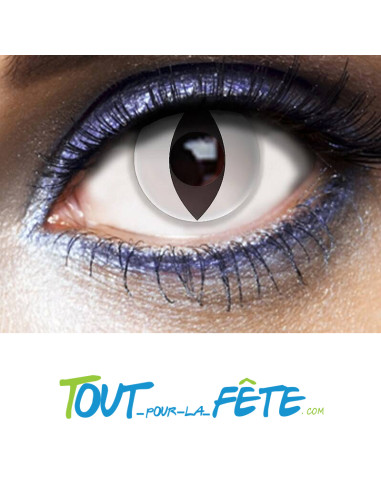 Lentilles de contact journalière yeux de chat blancs