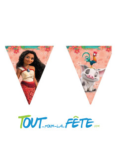 Guirlande de fanions Vaiana 2.30m