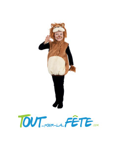 Déguisement de lion enfant taille 5/6 ans