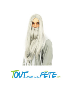 Perruque et barbe longue grise 2