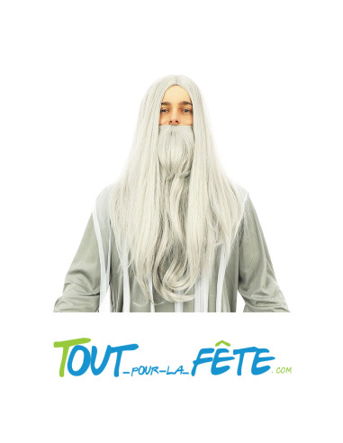Perruque et barbe longue grise