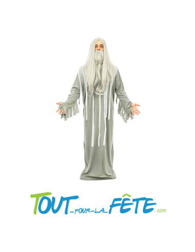 Perruque et barbe longue grise