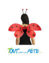Set de coccinelle ( ailes + serre-tête )