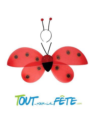 Set de coccinelle ( ailes + serre-tête )