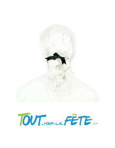 Perruque Marquis Homme 2