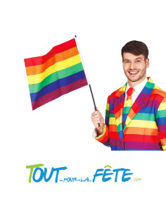Drapeau multicolore ( arc en ciel ) gay pride 2