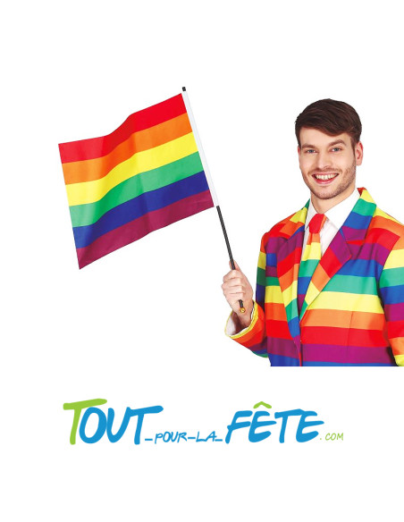 Drapeau multicolore ( arc en ciel ) gay pride