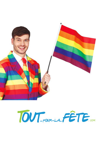Drapeau multicolore ( arc en ciel ) gay pride