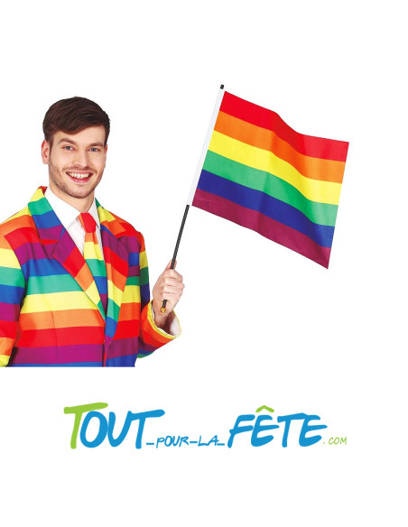 Drapeau multicolore ( arc en ciel ) gay pride