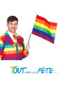 Drapeau multicolore ( arc en ciel ) gay pride