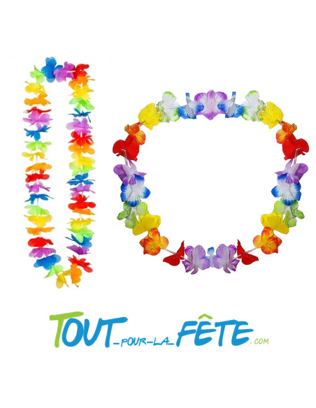 Collier de fleur Hawaïen / Tahiti multicolore