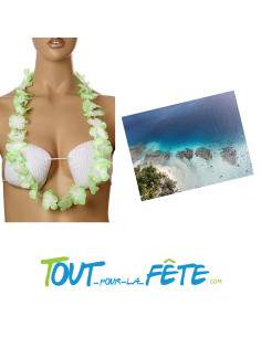 Collier de fleur Hawaïen / Tahiti vert et blanc 2