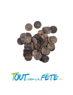 Lot de 50 vielles pièces pirate