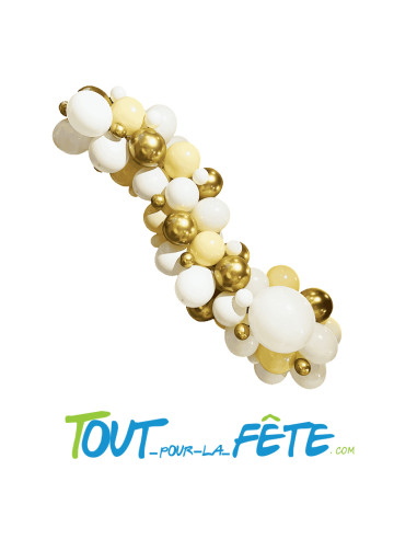 Kit complet arche de ballons organique couleur