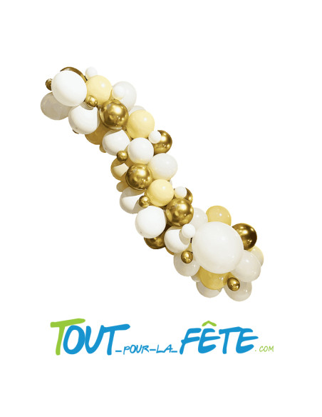 Kit complet arche de ballons organique couleur