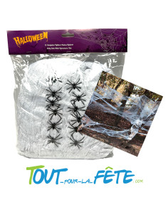 Toile d'araignée 500g + 12 araignées 2