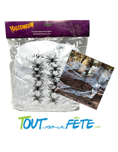 Toile d'araignée 500g + 12 araignées